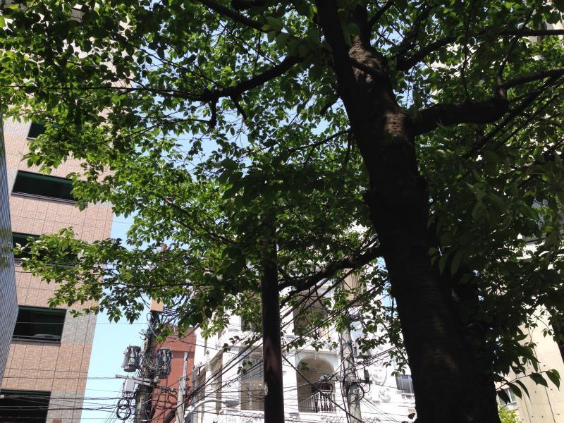 Fukuoka Little Kokura Kitakyūshū